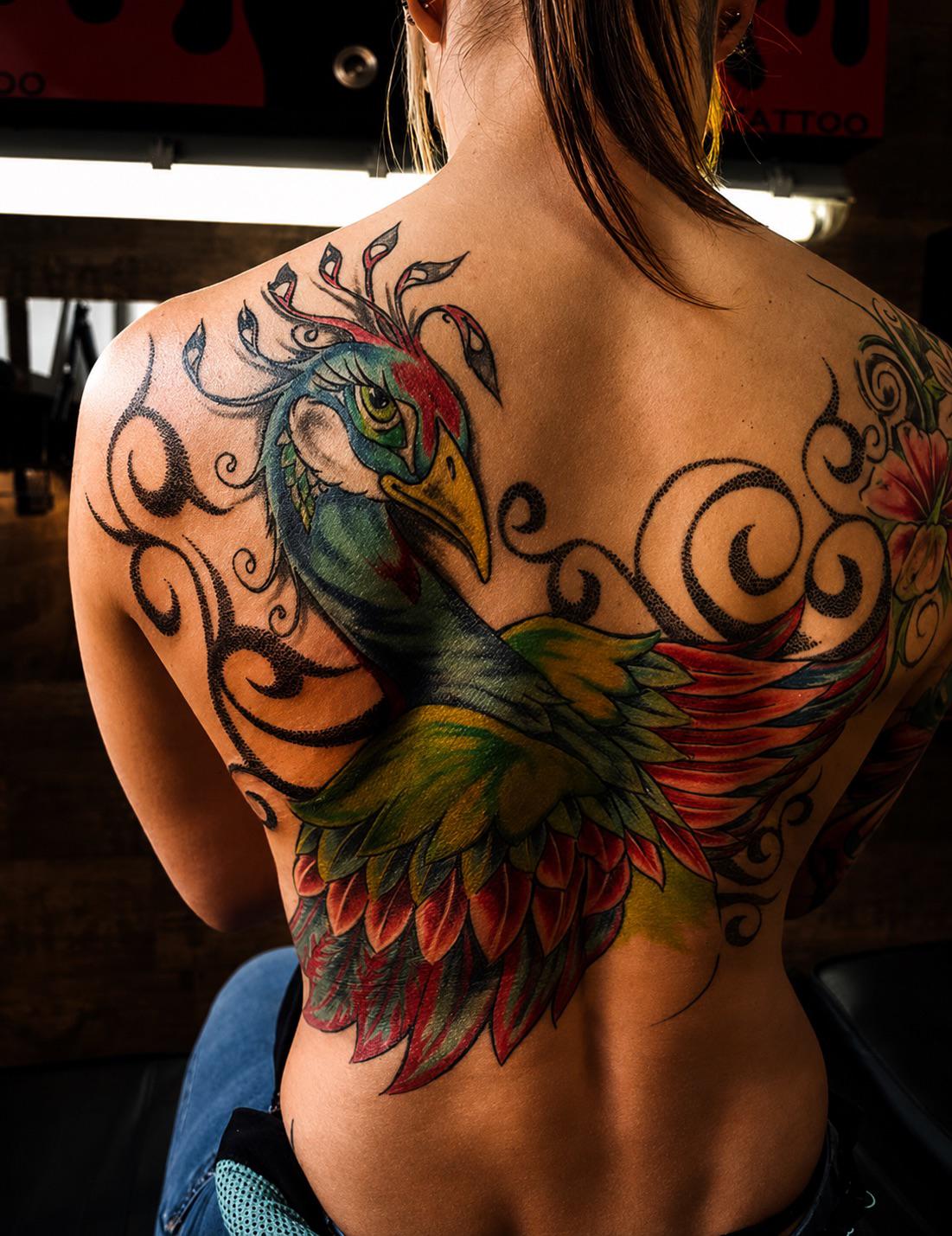 Farbiges Phönix-Tattoo über den gesamten Rücken